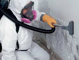 Mold Documentation for Insurance Claims in Rosemead, CA